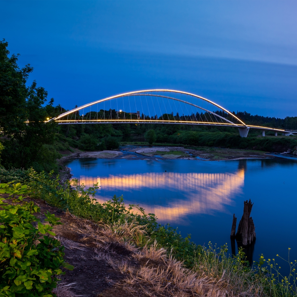 Peak™ AC Flex Light image 2