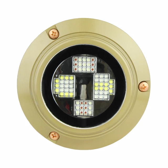 SHOUL™ Underwater Light