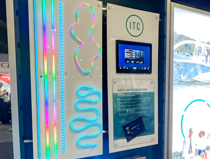 Let’s Celebrate: 2024 in Review